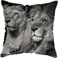 Wild Animals Lions Tigers Cushion Cover - Axyaa Luxury Home Decor