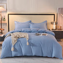 Axyaa 2024 Luxury Cotton Thickened Solid Color Four-Piece Set