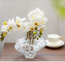 Axyaa Frosting Glass Vase: Nordic Minimalist Style Home Decor for Flowers, Modern Living Room Accent