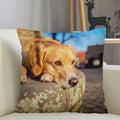 Axyaa Golden Retriever Dog Sofa Pillowcase for home decor