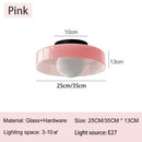 Axyaa Glass Ceiling Light LED E27 Bedroom Living Room Home Decor Lighting