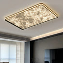 Axyaa Smart LED Ceiling Light for Home Bedroom Living Room Lighting Fixture