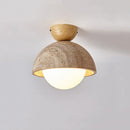 Axyaa Scandinavian Apartment Ceiling Light LED Lamps