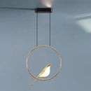 Axyaa Magpie LED Pendant Lamp: Minimalist Circular Lighting for Living Room, Bedroom, and Kitchen