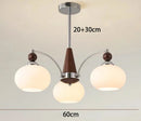 Axyaa Nordic Chandeliers for Dining Room Indoor Lighting Fixture