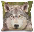 Axyaa 3D Animal Print Cushion Covers (18" x 18") - Cute Collection