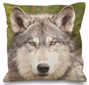 Axyaa 3D Animal Print Cushion Covers (18" x 18") - Cute Collection