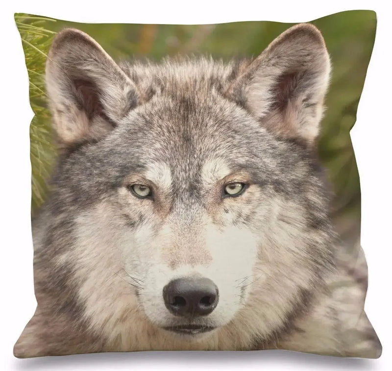 Axyaa 3D Animal Print Cushion Covers (18" x 18") - Cute Collection