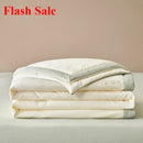 Axyaa Cashmere Embroidered Summer Quilt Set - 4-Piece