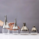 Axyaa Silver Gradient Glass Vase: Creative Terrarium & Jewelry Holder