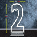 Axyaa 30" Tall LED Neon Numbers 0-9 Birthday Party Decoration Sign