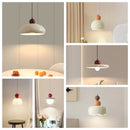 Axyaa LED Pendant Lamps for Modern Home Lighting
