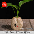 Axyaa Zen Stone Ceramic Vase Planter for Living Room Table & Pothos