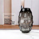 Axyaa Geometric Glass Vase Art Decor Flower Vessels Dried Flower Arrangement Craft