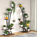 Axyaa Multi-Tiered Plant Stand for 11 Potted Flowers - Ideal for Home and Garden.