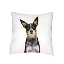 Siberian Husky Dogs Cushion Cover 45X45CM by Axyaa