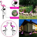 Axyaa Peacock Solar Garden Lamp: Outdoor Decorative Light, Auto On/Off, Waterproof, Solar Powered