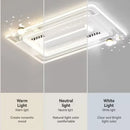 Axyaa Leafless Fan Lamp - Modern & Elegant Lighting Fixture for Living Room