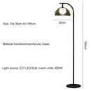 Axyaa LED Glass Shade Floor Lamp - Modern Minimalist Living Room and Bedroom Lighting