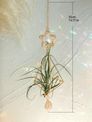 Axyaa Gold Suncatcher Air Plant Holder with Crystal Home Decor