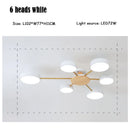 Axyaa Black LED Ceiling Lamp: Creative Pendant Chandelier for Home Decor
