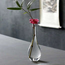 Axyaa Transparent Glass Zen Vase for Living Room Decor and Hydroponic Plants