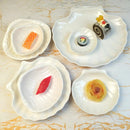 Axyaa Melamine Shell Plate Dish Set - Restaurant Quality Tableware Dish