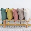 Axyaa Tassel Cushion Cover 45x45cm Light Luxury Sofa Pillow Case