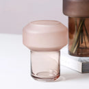 Axyaa Geometric Glass Vase Hydroponic Flower Pot Home Decor Ornament