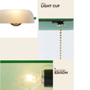 Axyaa Traditional Green Banker Wall Lamp Classical Vintage Beige Wall Light for Home and Hospitality