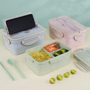 Axyaa Portable Microwavable Bento Box for Office, School or Picnic