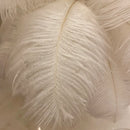 Axyaa Rechargeable Ostrich Feather Table Lamp: Nordic Romantic Night Light for Cozy Bedroom