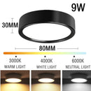 Axyaa 25W LED Downlight Ceiling Light Three Color Spotlights Large Area Lighting