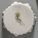 Axyaa Stone Pattern Ceramic Serving Plate Set for Hotel Restaurant - Round Shape