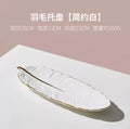 Axyaa Fruit Plate: Art Ceramic Tableware & Dim Sum Plate for High-Level Desserts
