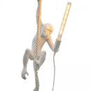 Axyaa Monkey Pendant Lamp: Hemp Rope Creative Wall Sconce Light