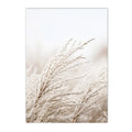 Axyaa Beige Dandelion Bunny Tail Grass Canvas Art Print Nordic Flower Poster