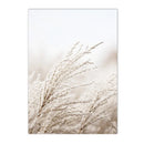 Axyaa Beige Dandelion Bunny Tail Grass Canvas Art Print Nordic Flower Poster