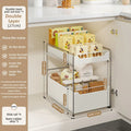 Axyaa 2-Layer Sliding Kitchen Organizer for Seasoning Bottles and Dishes