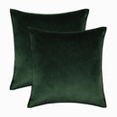 Axyaa Halloween Velvet Throw Pillow Cover Set - Various Sizes & Designs