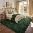 Axyaa Plush Green Area Rug for Modern Home Decor & Cozy Living Spaces