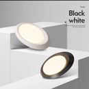Axyaa Nordic LED Ceiling Light for Modern Indoor Decor Lighting
