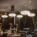 Axyaa Spark Ball Stainless Steel Pendant Chandelier for Modern Indoor Lighting