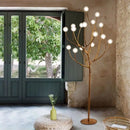 Axyaa Acrylic LED Floor Lamp for Living Room Ambiance
