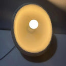 Axyaa Nordic LED Pendant Chandelier for Home, Dining Room, Bedroom