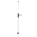 Axyaa Colorful Liftable Rotating Floor Lamp for Study and Bedroom
