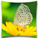 Axyaa Spider Butterfly Print Pillow Case for Home Decor