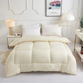 Axyaa Winter Warmth Quilt | All-Season Solid Color | Thick & Cozy