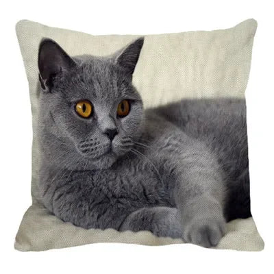 Axyaa British Shorthair Cat Pillow Cover 45X45cm Square Cushion