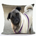 French Bulldog & Pug Dog Pillowcase by Axyaa - Decorative Animal Polyester Cushion Cover